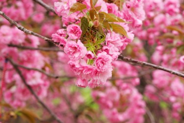 南京秦淮区9线下个人借款平台一站式服务，轻松解决资金难题