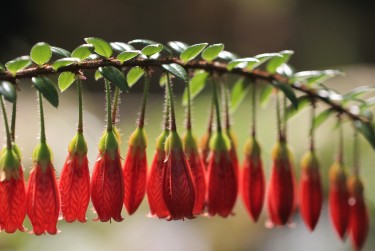 南京秦淮区9零用贷短借：轻松解决临时资金需求