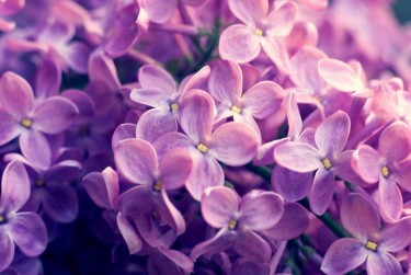 南京秦淮区9企业急用钱贷款攻略：快速融资解燃眉之急